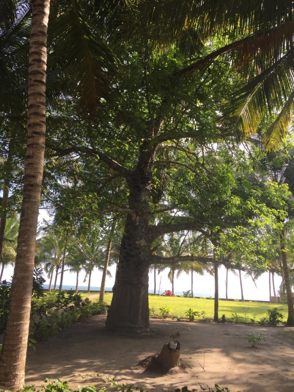 Oceanic Bay Hotel & Resort Bagamoyo Exteriör bild